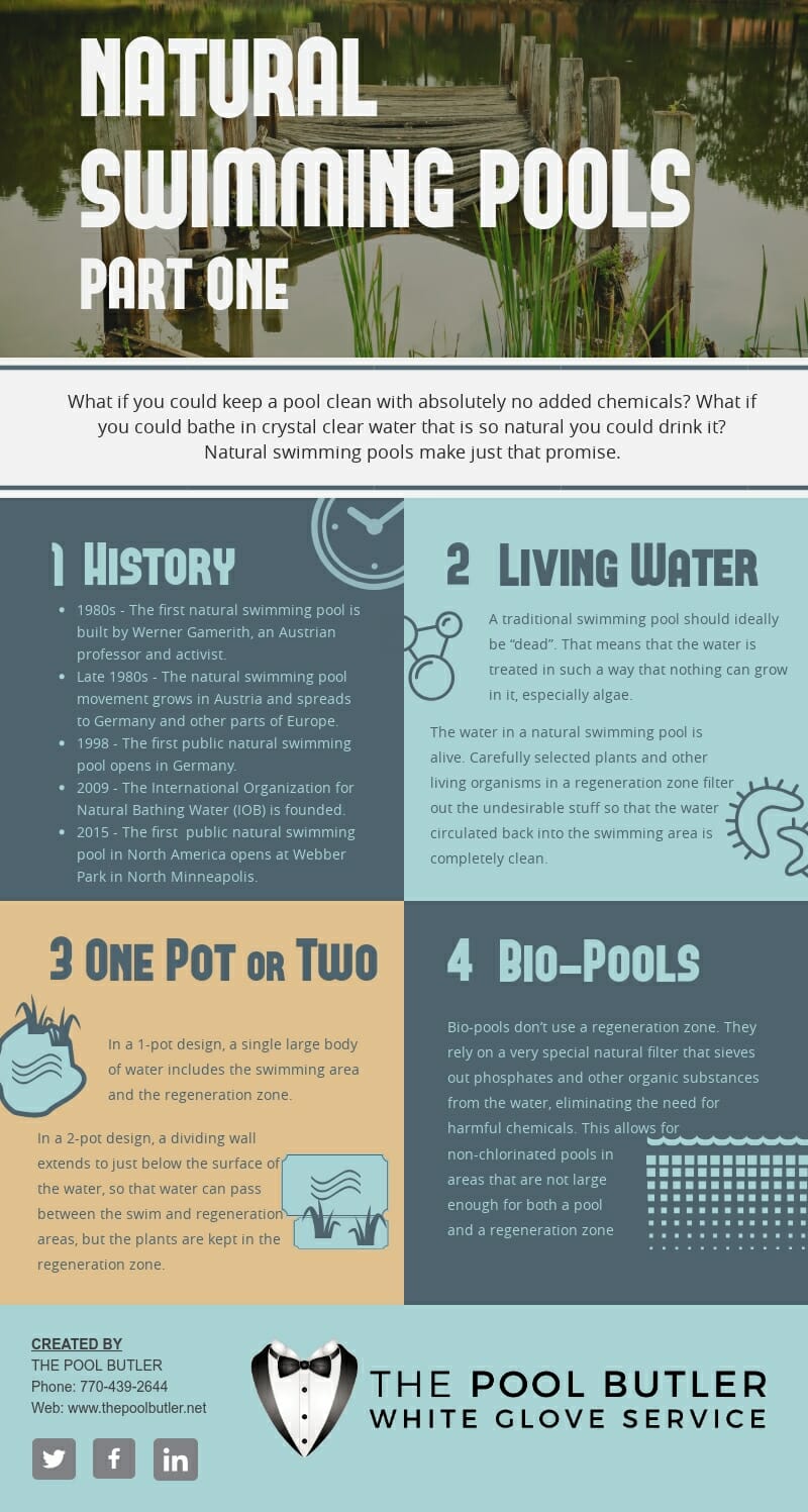 Natural Swimming Pools - Part One [infographic]