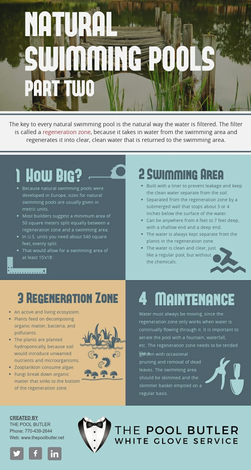 Natural Swimming Pools - Part Two [infographic]
