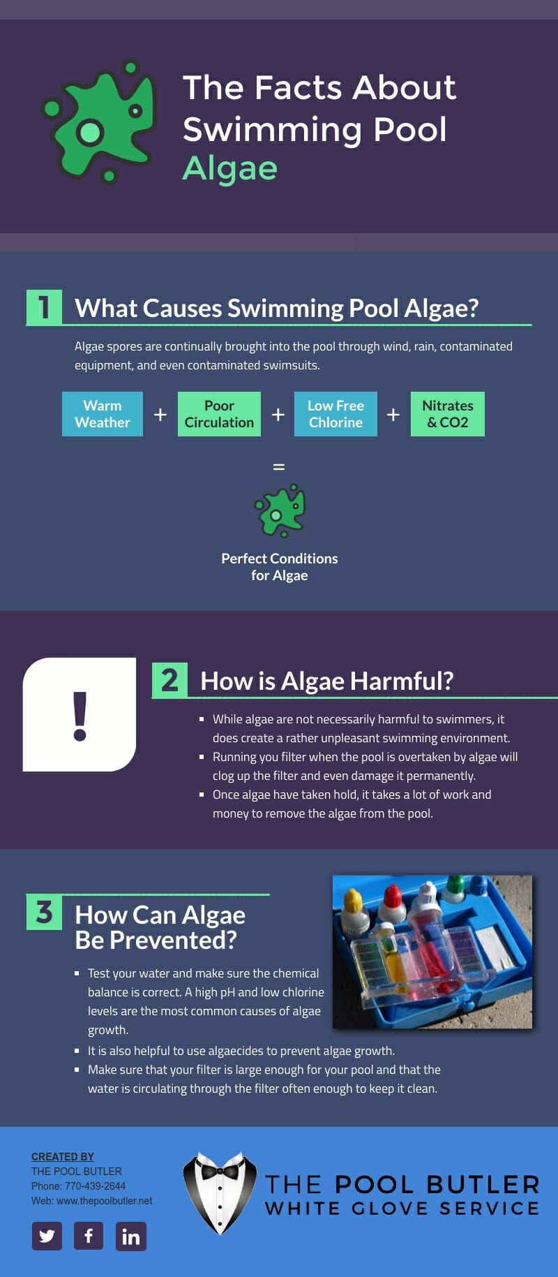 The Facts About Swimming Pool Algae [infographic]