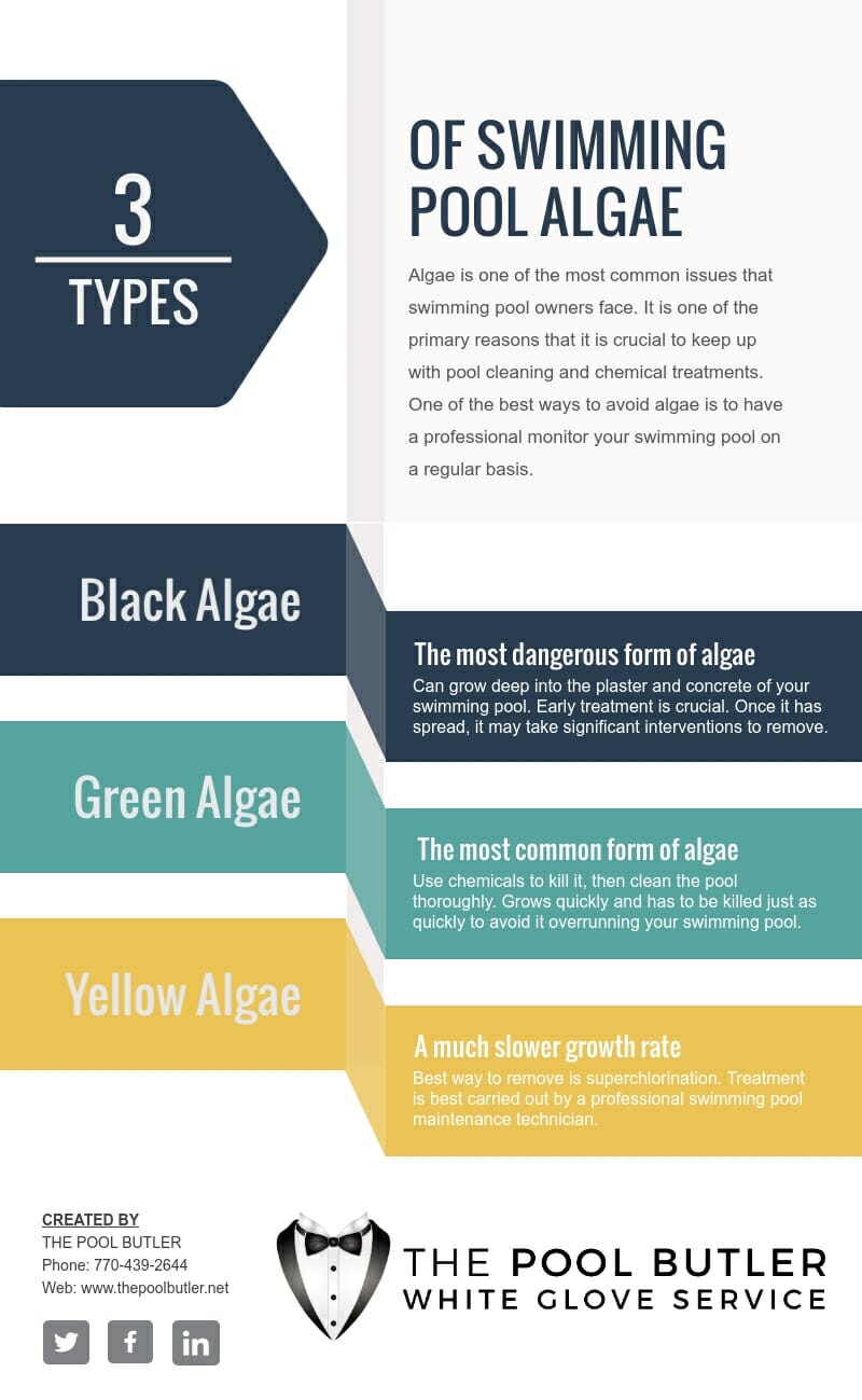 Exploring The Types Of Swimming Pool Algae [infographic]
